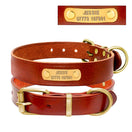 Collier chien cuir véritable personnalisé