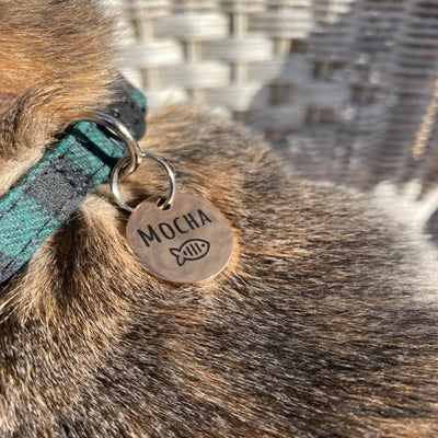 Médaille Chat Forme Poisson