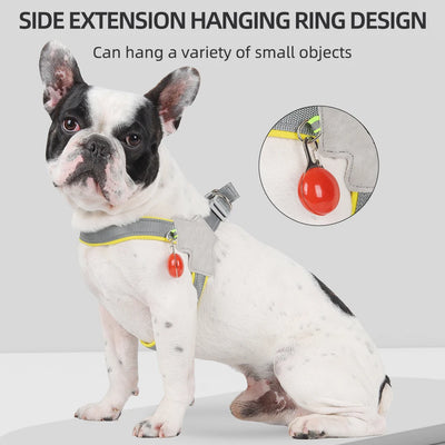 Harnais Anti-Traction Petit Chien