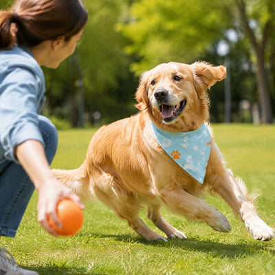 Bandana chien personnalisé nom imprimé