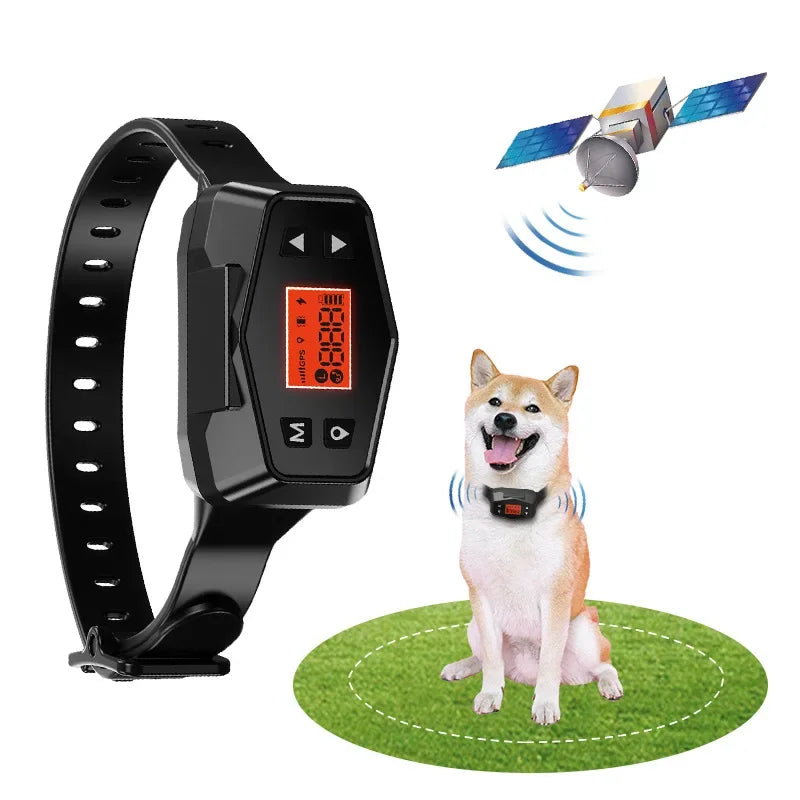 Collier Anti-Fugue Chien GPS