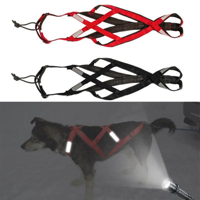 Harnais Chien Traction Canicross