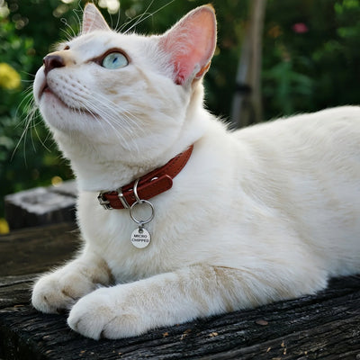 Mini Médaille Chat Gravée