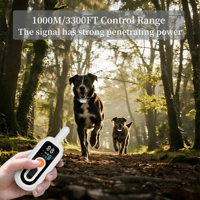 Collier Anti-Aboiement Chien Télécommande