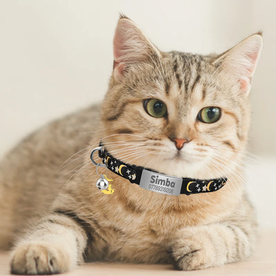 Collier Chat Lumineux Personnalisé