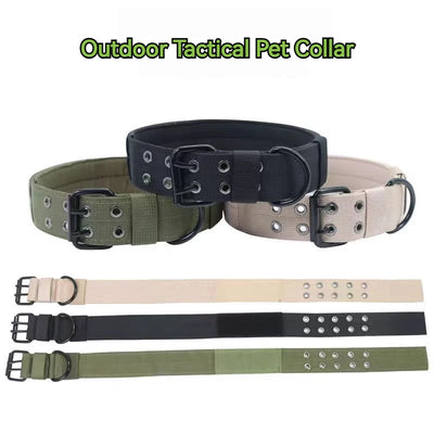 Collier Chien Robuste avec Laisse Assortie