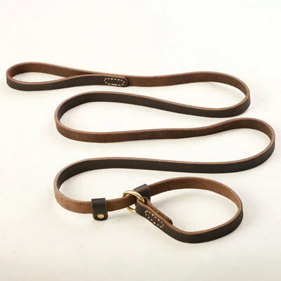 Laisse Coulissante Cuir Chien
