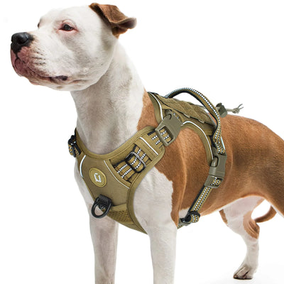Harnais Gilet Anti-Traction Chien