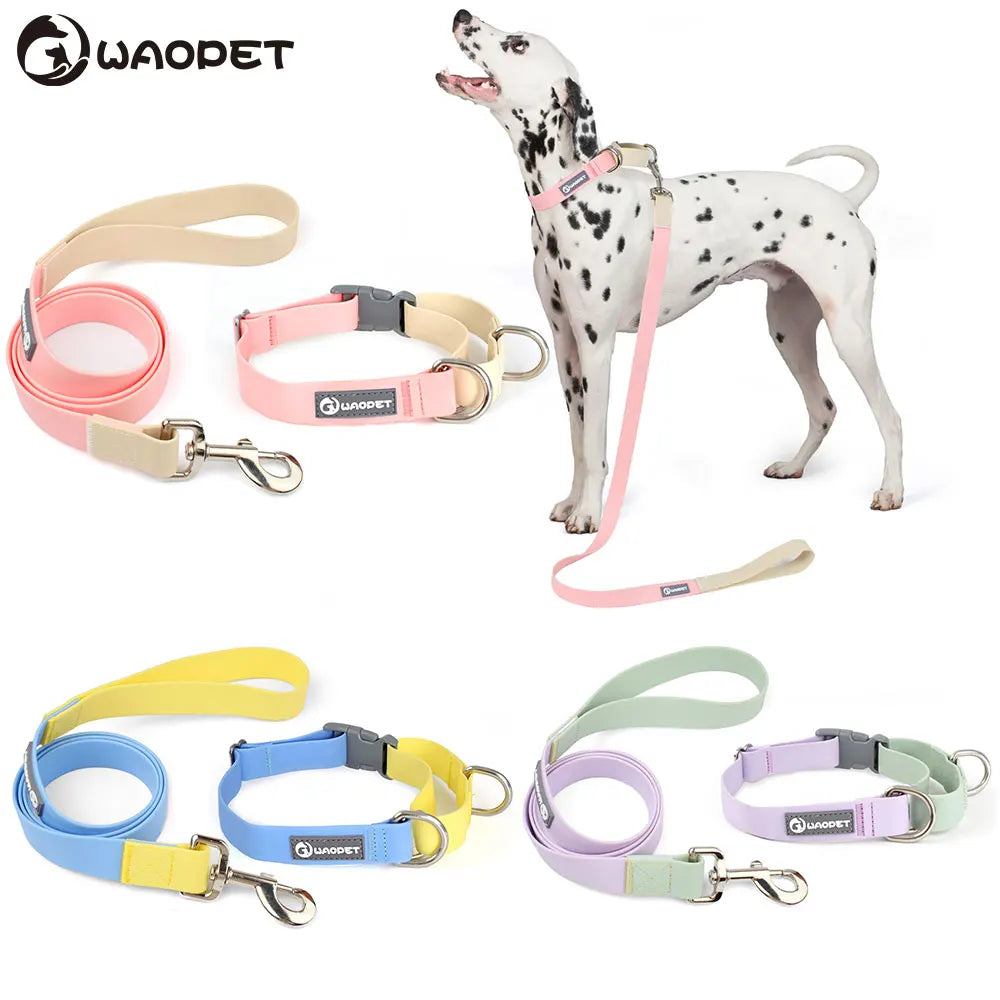 Collier et Laisse Chien Étanche Contrôle