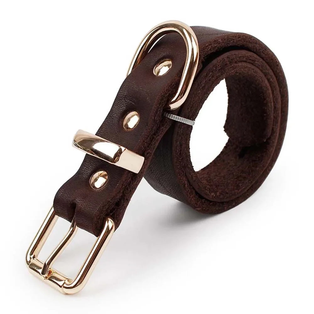 Collier Chien Cuir Marron
