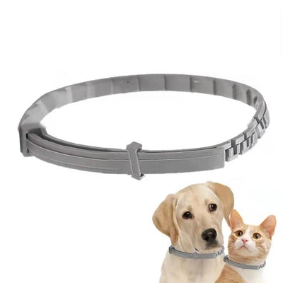 Collier Chat Silicone Souple