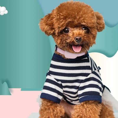 Collier GPS Chien Sans Abonnement Autonomie