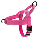 Harnais Anti-Traction pour Gros Chien