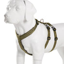 Harnais chien double-H anti-traction