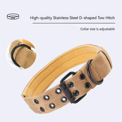 Collier Chien Robuste avec Laisse Assortie