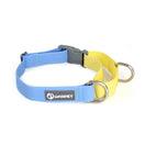 Collier et Laisse Chien Étanche Contrôle