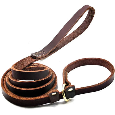 Laisse Coulissante Cuir Chien