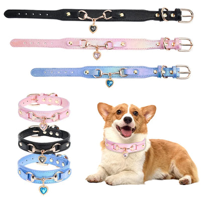 Collier Chien Cuir Strass