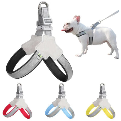 Harnais Anti-Traction Petit Chien