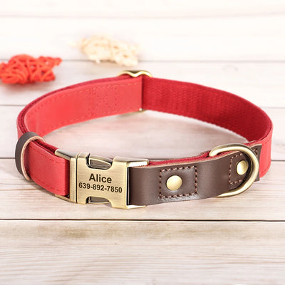 Collier cuir personnalisé pour Chien