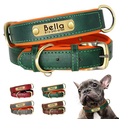 Collier chien cuir matelassé personnalisé