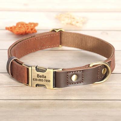 Collier cuir personnalisé pour Chien