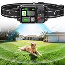 Collier Anti-Fugue Et Dressage Chien