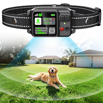 Collier Anti-Fugue Et Dressage Chien