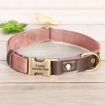 Collier cuir personnalisé pour Chien