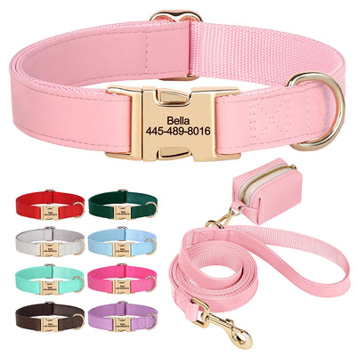 Kit collier laisse chien personnalisé