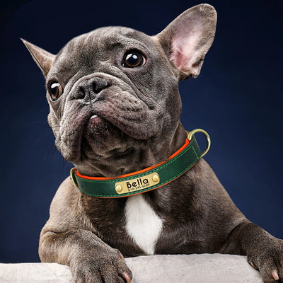 Collier chien cuir matelassé personnalisé