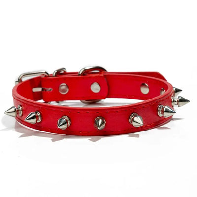 Collier Chien Cuir Clouté