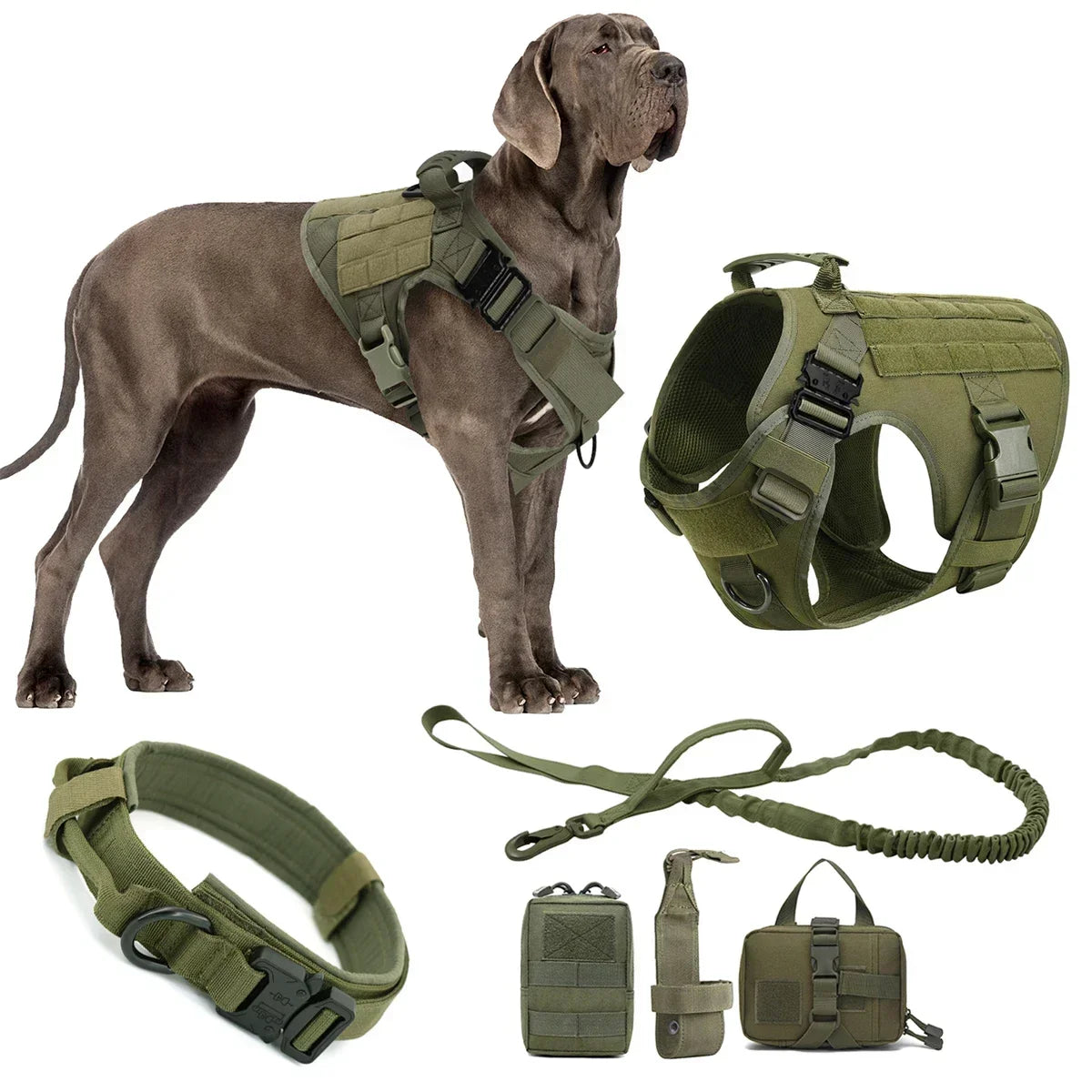 Harnais Collier Tactique Chien