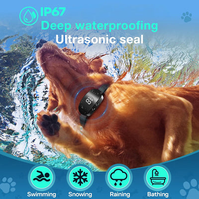 Collier Anti-Aboiement Chien avec Vibration