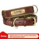 Collier chien cuir matelassé personnalisé