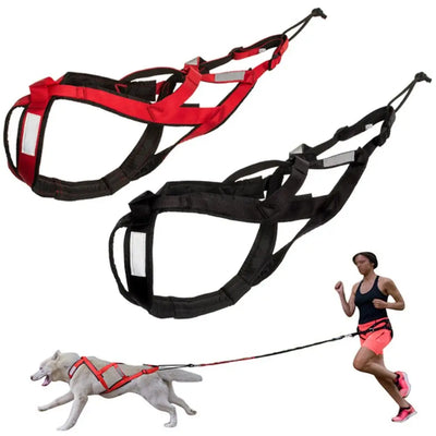 Harnais Chien Traction Canicross