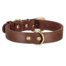 Collier Chien Cuir Large