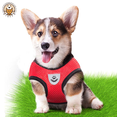 Harnais Léger d'Été pour Chien