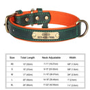 Collier chien cuir anti-perte personnalisé