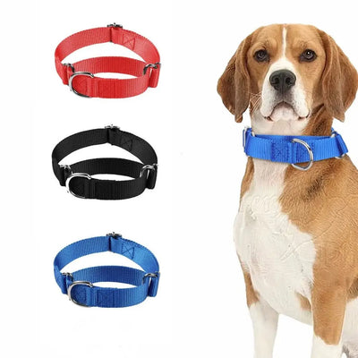 Collier Chien Anti-Fugue Martingale