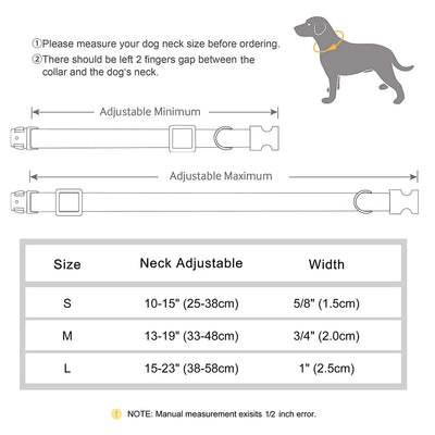 Collier cuir personnalisé pour Chien