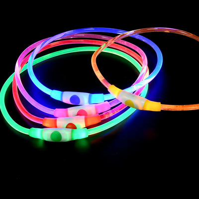 Collier Chien LED Lumineux Nuit