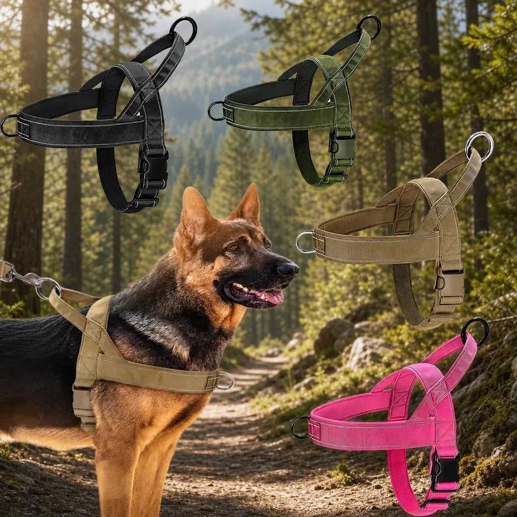 Harnais Anti-Traction pour Gros Chien