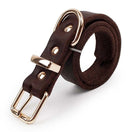 Collier Chien Cuir Marron