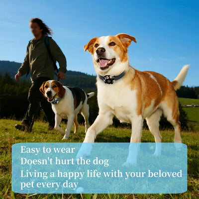Collier Anti-Aboiement Chien Automatique