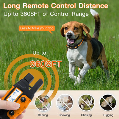 Collier Anti-Aboiement Chien 5-55kg