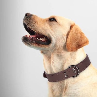 Collier Chien En Cuir Véritable