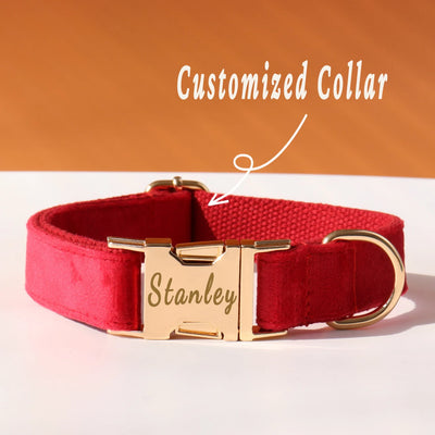 Collier chien nylon nœud personnalisé