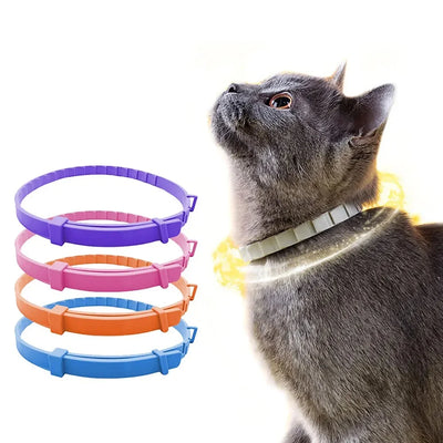 Collier Chat Plastique Imperméable