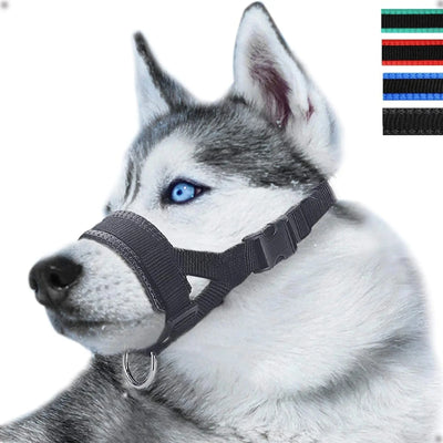 Muselière Chien Nylon Rayures